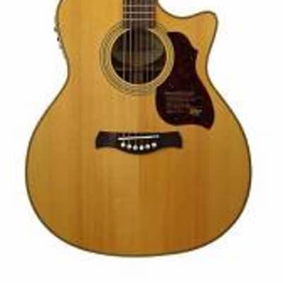 richwood g-65-ce va chitarra acustica grand ... for sale