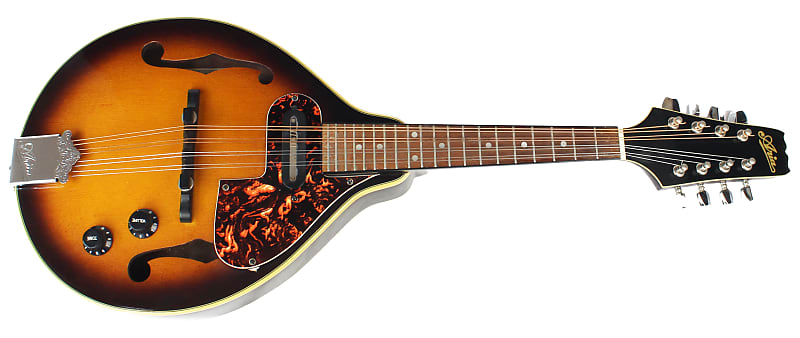 弦楽器 ARIA FlatMandolin AM-200E Aria Flatmandolin Am-200E | eBay