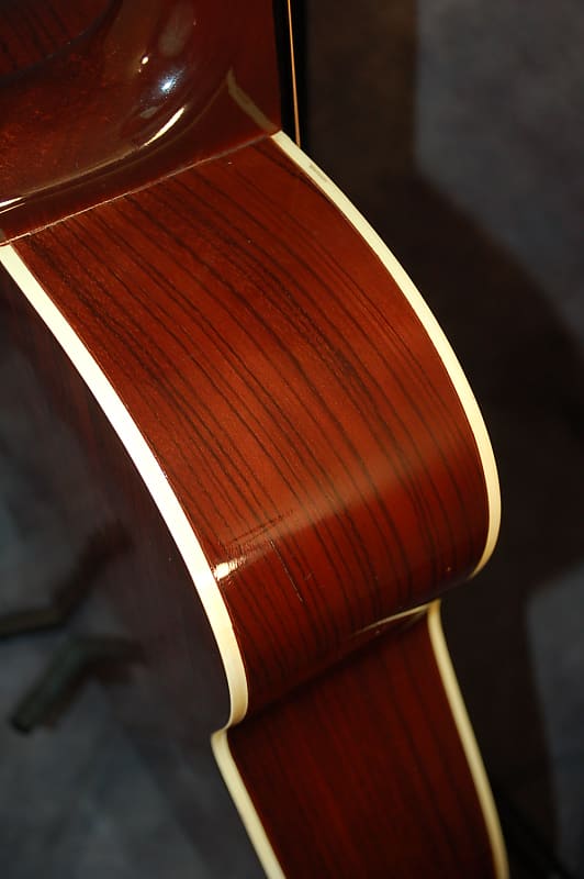 Video Demo 1975 Montano by Takamine F190 Folk Guitar Concert