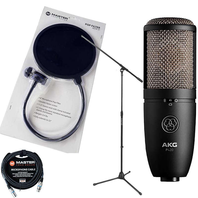 AKG P420 High-Performance Dual-Capsule True Condenser Microphone w/ Stand,  Cable & Pop Filter