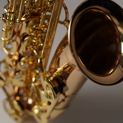 [In Stock]_Freeshipping! Yanagisawa Alto saxophone A WO-2 [AWO2]Bronze Brass Body image 1
