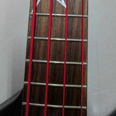 Ibanez MDB5-OXB Mike D'Antonio Signature Destroyer Bass 2022 - 2023 - Oxblood Weathered Black - DR Red Devil Stings and custom case image 7
