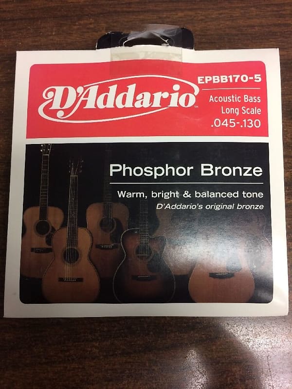 Acoustic 5-String Bass Guitar Strings D'Addario New Reg Light Phosphor Bronze image 1