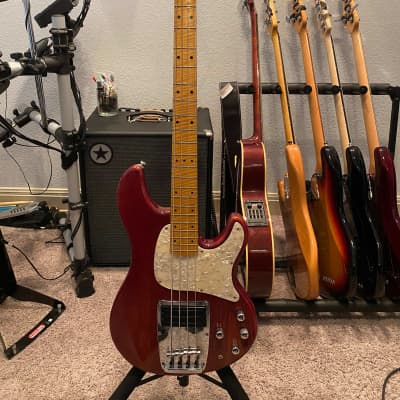 Ibanez atk 805 sales