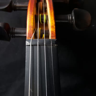 Vivace 4/4 Violin, Case & Bow EM 230 Satin Finish Solid Top image 16