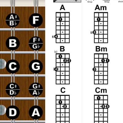 Laminated Mandolin Easy Chord Chart & Fretboard Notes Poster | Reverb