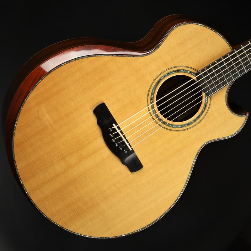 Ryan Cathedral Grand Fingerstyle - Sitka Spruce & Indian Rosewood 2003 *VIDEO* image 1