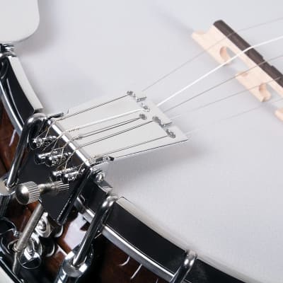 Washburn B11K Americana Series 5-String Resonator Banjo with Rolled Brass Tone Ring & Hardshell Case image 5