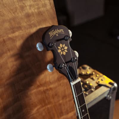 Washburn B7 | Open-Back 5-String Banjo. New with Full Warranty! image 5