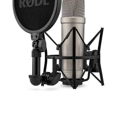RODE NT1 5th Generation Hybrid Studio Condenser Microphone Silver NT1GEN5