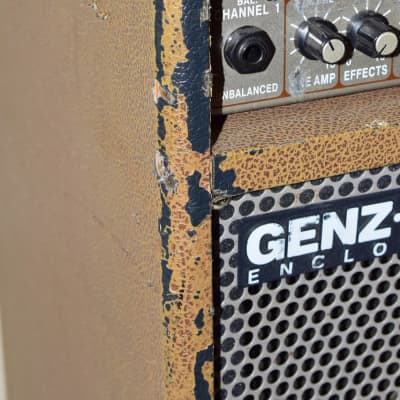 Genz Benz Shenandoah 100 Acoustic Guitar Amplifier image 8