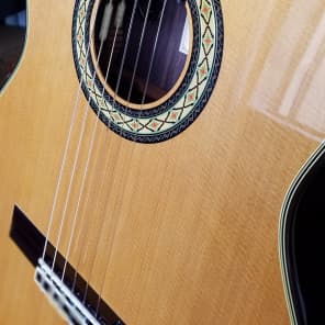 Takamine TH5C Acoustic Guitar (TH5C) image 5