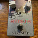 Alexander  Amnesia