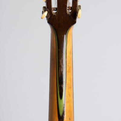 Yosco  Colossus Guitar Banjo,  c. 1920, ser. #776, black gig bag case. image 6