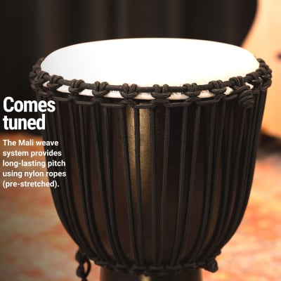 Meinl Percussion HDJ1-XL Congo Series Headliner Rope Tuned Djembe, Extra Large: 13-Inch Diameter image 5