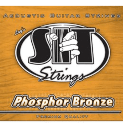 S.I.T. Acoustic Guitar Phosphor Bronze Strings Light P1254 for sale
