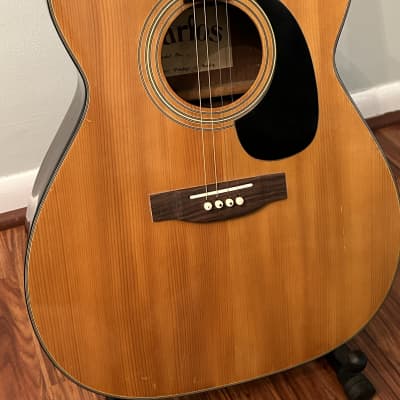 Carlos “Lucky 13” Tenor Guitar - TG-207 for sale