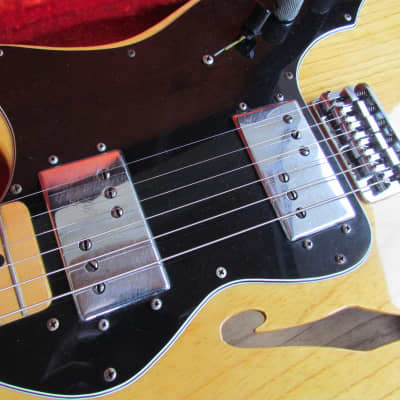 1977 Fender Telecaster Thinline Natural Finish All Original W/Original Case Clean! image 8