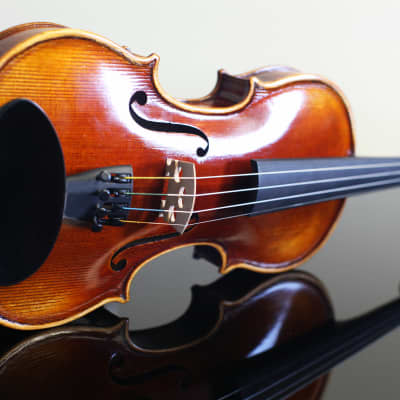 Plum Grove Violin 3/4 image 1