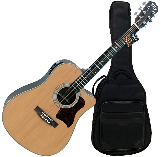 Storm DC80SN-BAG acoustic guitar image 1