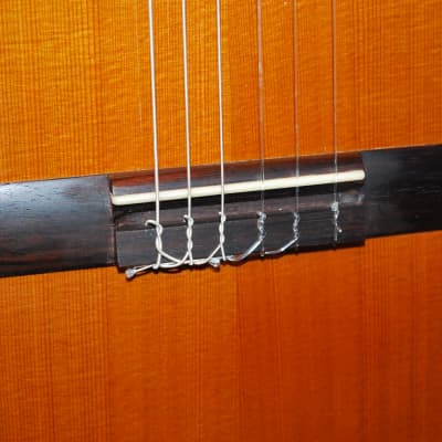 2012 New World Bubinga Model Classical Guitar Truss Rod New Strings Deluxe Original Hard Case image 4