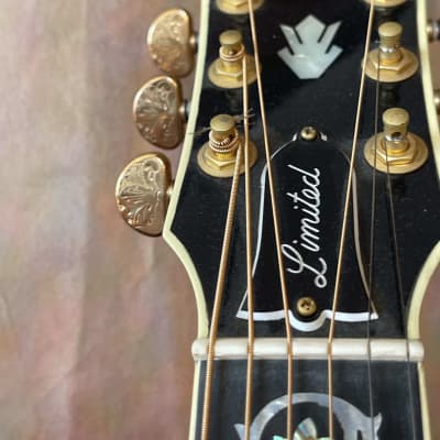 Gibson J-45 Vine 2017 - Autumn Burst image 23