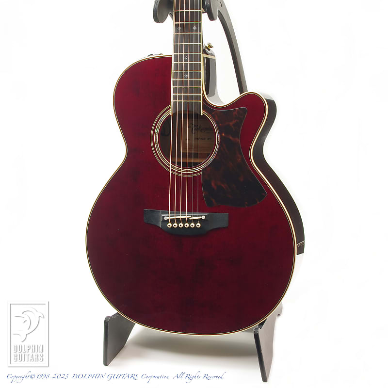 海外最新 takamine Guitar DMP50S WR ギター