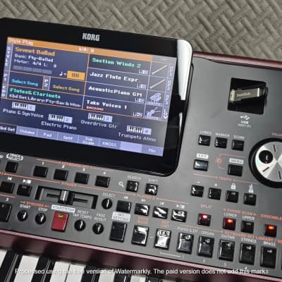 Korg PA1000 61-Key ✅ Professional Keyboard Arranger✅ Cleaned & Full Checked ✅ image 11