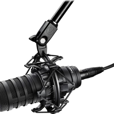 Audio Technica BP40 Large-Diaphragm Dynamic Broadcast Microphone image 7