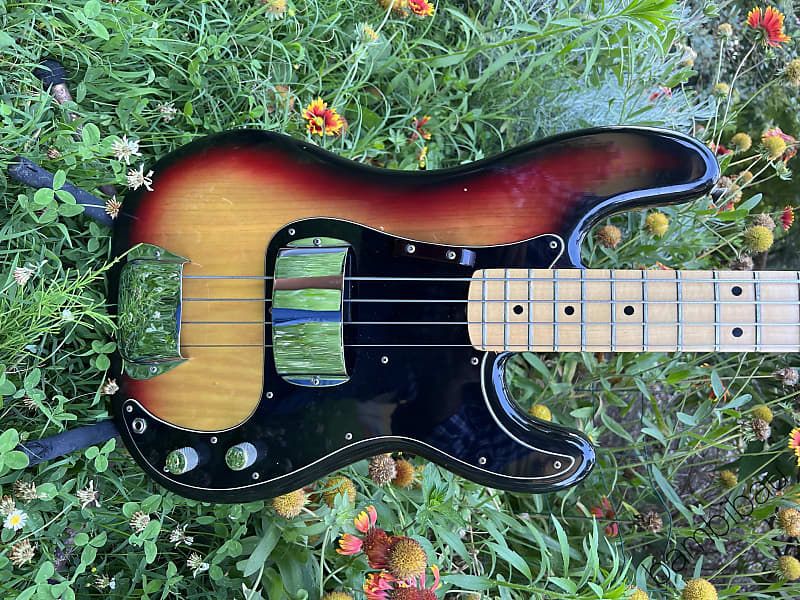 1977 Fender Precision Bass Maple Fretboard So Clean Reverb
