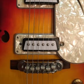 Rare Aria Diamond 1202T Hollow Body guitar | Reverb