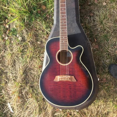 ギター Takamine DSP-110 ギター Takamine DSP-110 Takamine Takamine DSP110 [SN