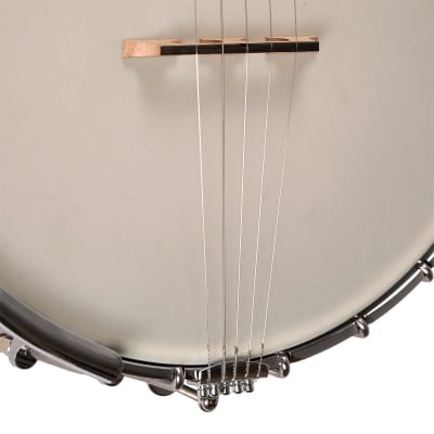 Gold Tone WL-250 White Ladye Professional Maple Neck Openback Banjo with Hardshell Case image 6
