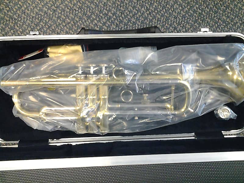 Dixon WBT600 TRUMPET WITH CASE (USED) image 1