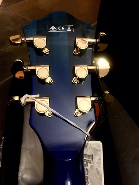 エレクトリックギター、SCHECTER、EX 22 CTM FRTの検索結果
