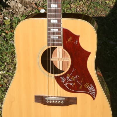 Takamine Elite HM-25 Hummingbird Replica Guitar 1975 Natural+Original Elite  Hard Case FREE | Reverb