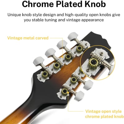 A Style Mahogany Mandolin with Tuner String Gig Bag and Guitar Picks Bundle Full Kit image 3
