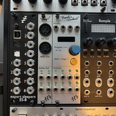 ALM/Busy Circuits ALM017 Pamela's NEW Workout Master Clock & Modulator  Eurorack Synth Module | Reverb