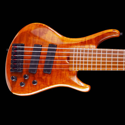 ROSCOE GUITARS LG-3006 bass guitars