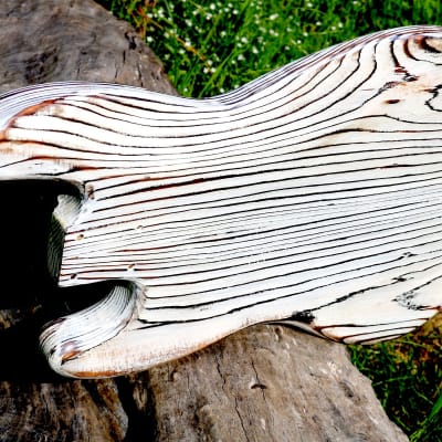Jazz Bass body, "barncaster" image 7