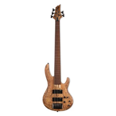 ESP LTD B-205SM Fretless 5-String Electric Bass Guitar with Roasted Jatoba Fingerboard, Ash Body, Spalted Maple Top, and 5-Piece Maple or Jatoba Neck (Right-Handed, Natural Satin) image 1