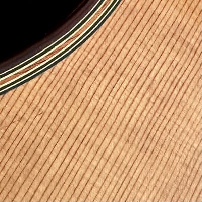 ARNULFO RUBIO Double Top with Nomex Grand Concert Master Grade-Cedar/Ancient Brazilian Rosewood image 14