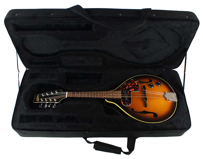 弦楽器 ARIA FlatMandolin AM-200E $_12.JPG