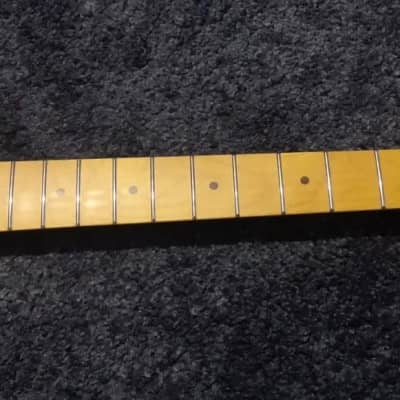 Guitar Anatomy Stratocaster Maple Neck image 1