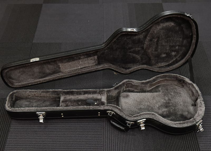 Epiphone Les Paul Case Reverb