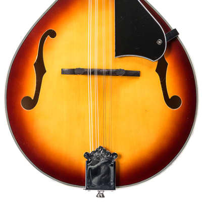 Denver DMAS-VS A-Style Mandolin - Vintage Sunburst for sale