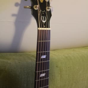 Epiphone Texan 1994 Limited Edition 145 of 500 made in Gibson Factory--Montana, USA. image 4