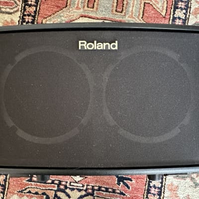Roland AC-40 Acoustic Chorus 2-Channel 40-Watt 2x6.5" Acoustic Guitar Combo 2013 - Present - Black image 2