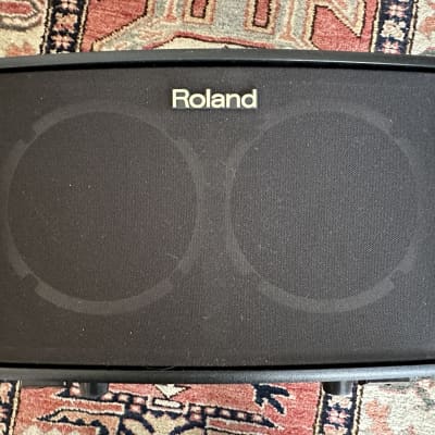 Roland AC-40 Acoustic Chorus 2-Channel 40-Watt 2x6.5 Acoustic Guitar Combo