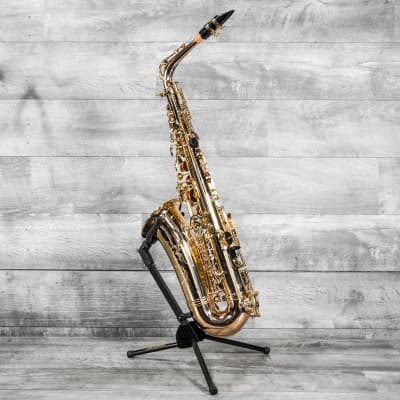 Soloist Student Alto Sax Outfit Used image 7